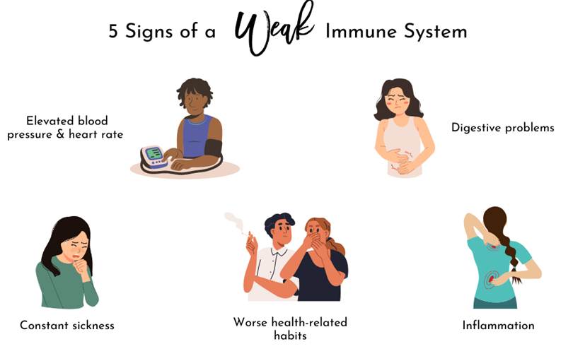 Signs Your Immunity Is&nbsp;Weak