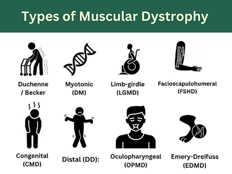 What Is Muscular&nbsp;Dystrophy?